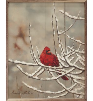 Cardinal By Bonnie Mohr